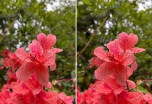 左右3D技术革新（探索左右3D技术的前沿应用，带来超越想象的视觉享受）