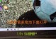 Win10电脑相机打开显示错误的解决方法（Win10电脑相机显示错误如何处理？）