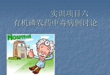 电脑安装农药程序教程（详细步骤让你轻松安装农药程序）