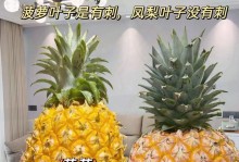 凤梨与菠萝的品种差异（探究凤梨和菠萝的区别与联系）