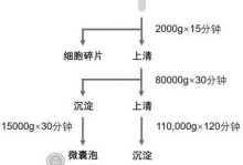 简化PE提取过程，轻松一键搞定（教你如何利用一键PE提取工具快速获取所需信息）