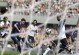 FIFA足球电脑板教程（从零基础到高手，轻松驾驭虚拟足球世界！）