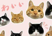 电脑小猫代打安装教程（简单操作、精准命中，一键代打让你游戏无忧）
