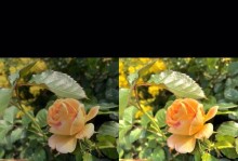 华为手机滤镜设置教程（打造个性化影像体验，华为手机滤镜应用全攻略）