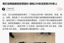 黑客攻击公安网站的影响及应对措施（探究黑客攻击公安网站的后果及保护公安网站安全的关键措施）